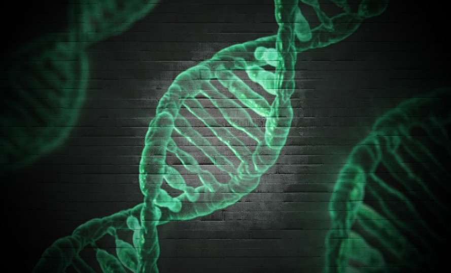 Новое исследование приоткрывает завесу над множеством генов, стоящих за шизофренией