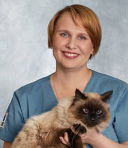 Курсы по ультразвуковой диагностике