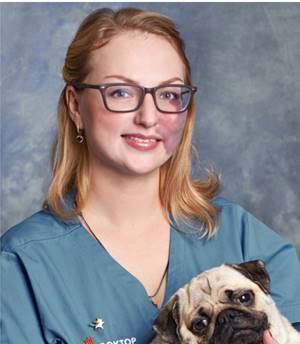 Курсы по ультразвуковой диагностике