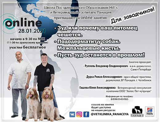 Онлайн-семинар Школы постдипломного образования Hill s для заводчиков о ветеринарной дерматологии