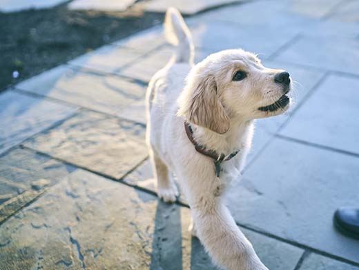 14 марта в Челябинске состоится семинар по интенсивной терапии и анестезиологии