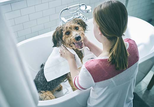 19 марта в Казани состоится семинар по нефрологии