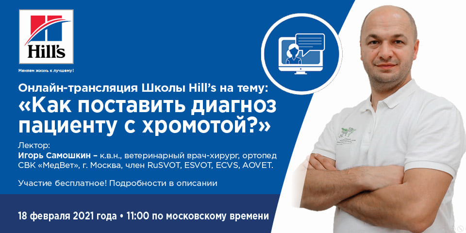 Онлайн-семинар Школы Hill s на тему: Как поставить диагноз пациенту с хромотой?