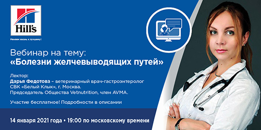 Вебинар на тему: "Болезни желчевыводящих путей"