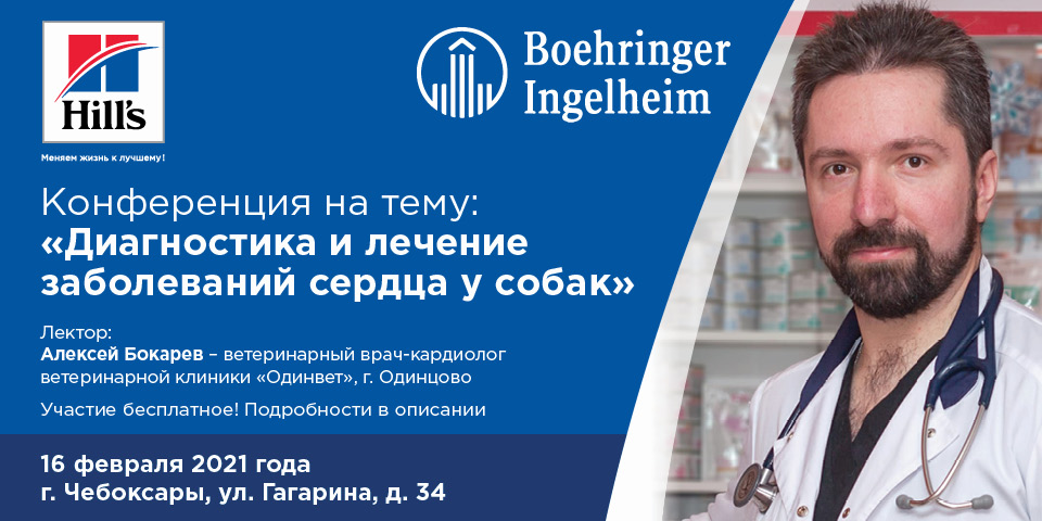 Конференция по ветеринарной кардиологии на тему: 5 простых шагов для выявления и лечения заболеваний сердца у собак