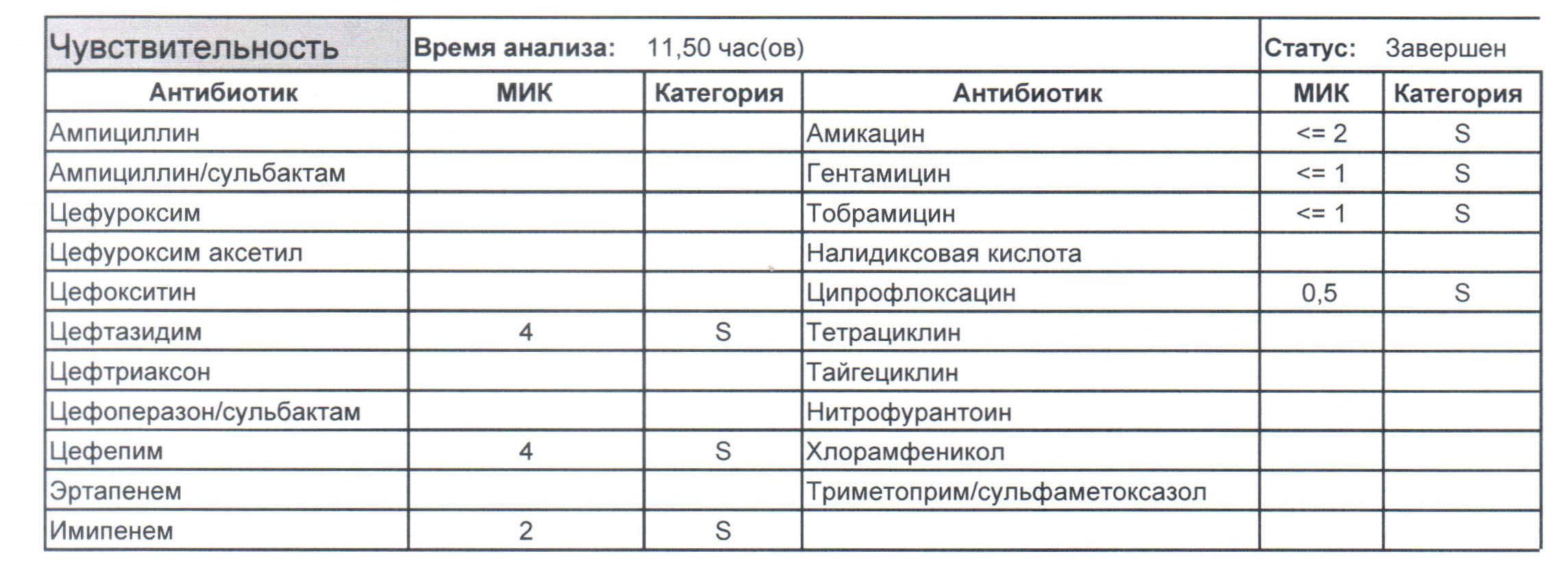 Синегнойная палочка . Азбука антибиотикотерапии. Видаль справочник  лекарственных препаратов