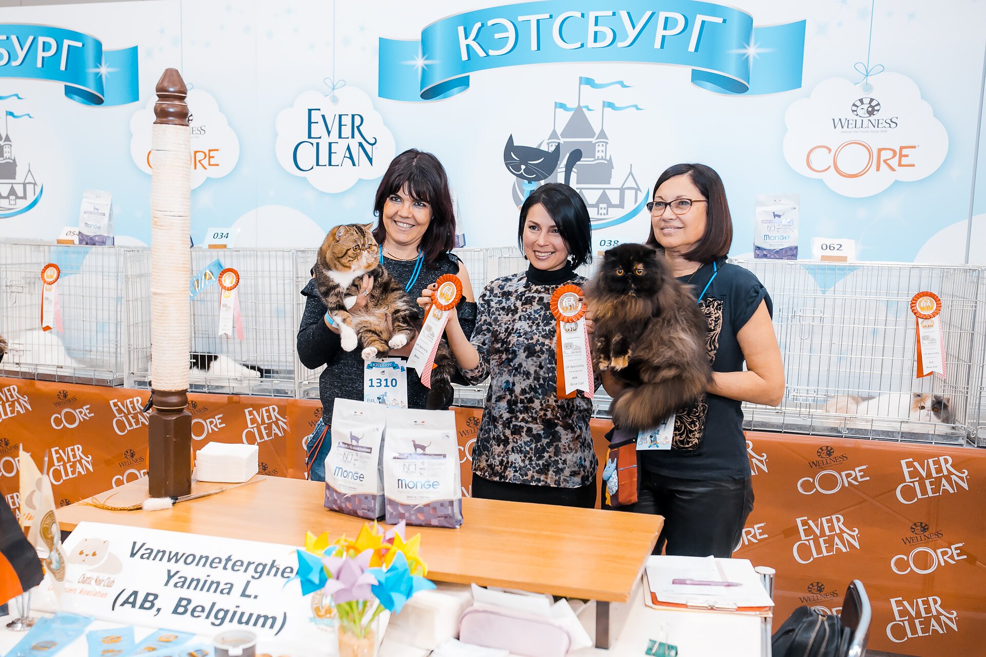 КЭТСБУРГ – город-выставка кошек и лучшее место для проведения активных и незабываемых выходных