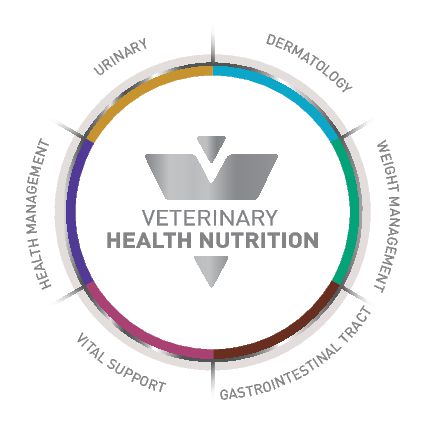 Royal Canin перезапускает портфель ветеринарных диет – и это самая большая инновация в линейке за последние 15 лет