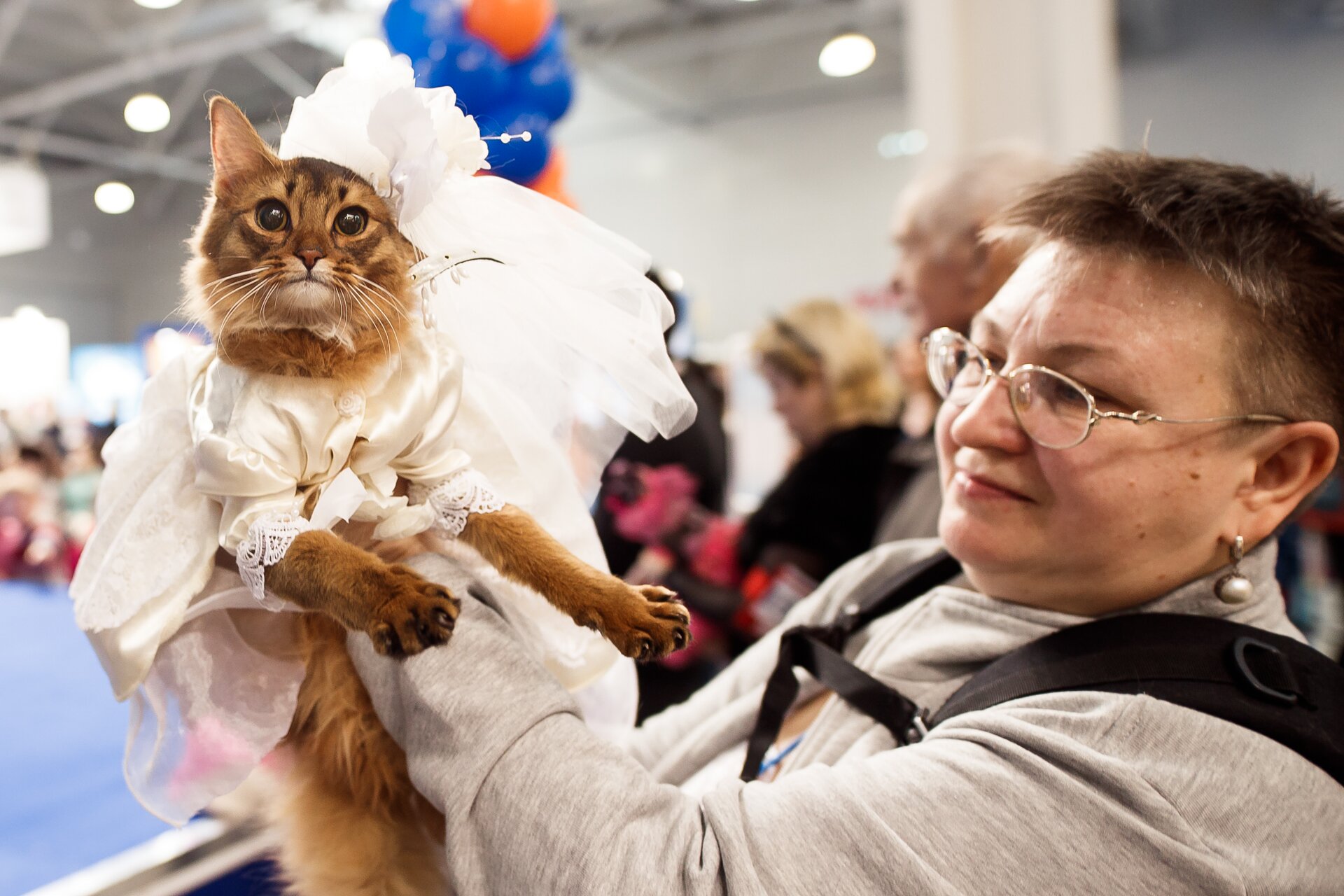 КЭТСБУРГ – город-выставка кошек и лучшее место для проведения активных и незабываемых выходных