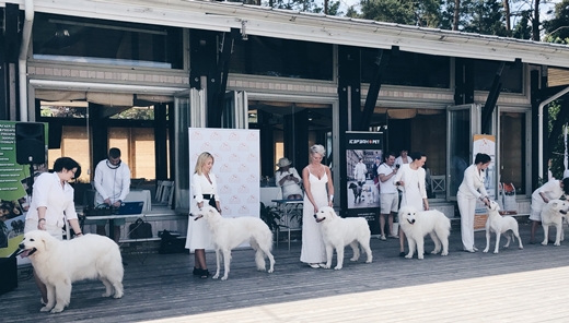 3 июня прошло благотворительное шоу собак белых окрасов BEST IN WHITE
