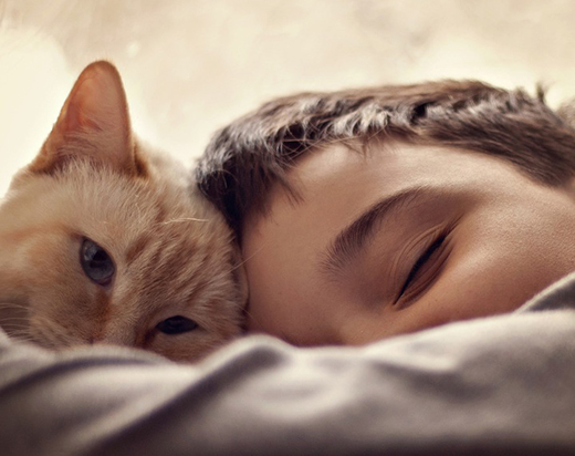 Ученые Канады доказали, что дети лучше спят в обнимку с питомцами