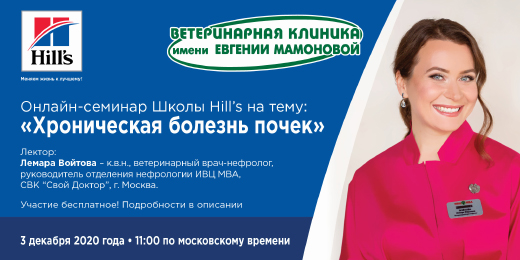 Онлайн-семинар на тему "Хроническая болезнь почек"