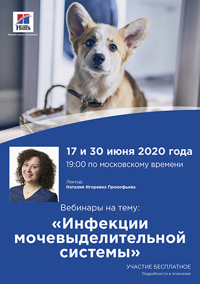 Цикл вебинаров по ветеринароной урологии