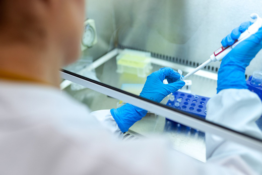 Ученые ВНИИЗЖ смогут оперативно диагностировать АЧС в обновленной лаборатории