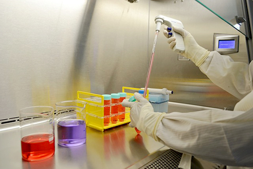 В 2021 году ВНИИЗЖ разработает семь новых вакцин для животных