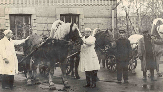 Никто не забыт, ничто не забыто: ветеринарная служба города Москвы в годы Великой Отечественной войны