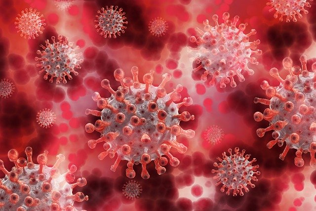 ПЦР-тесты на коронавирус показывают примерно одинаковую чувствительность вне зависимости от анализа слюны или мазков из носоглотки