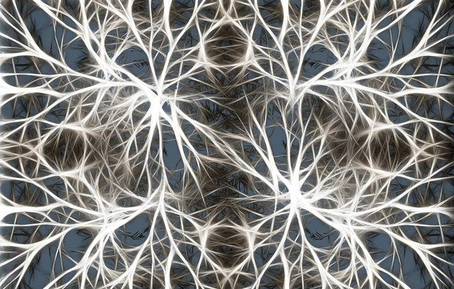 Когнитивные и функциональные расстройства могут указывать на высокий риск инсульта