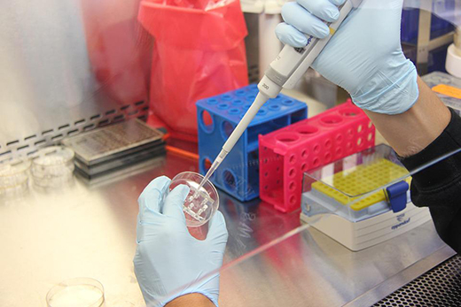 Ученые разработали набор для выявления антител к вирусу гриппа птиц