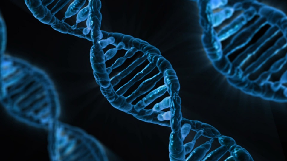 Боковой амиотрофический склероз может быть следствием мутаций в генах