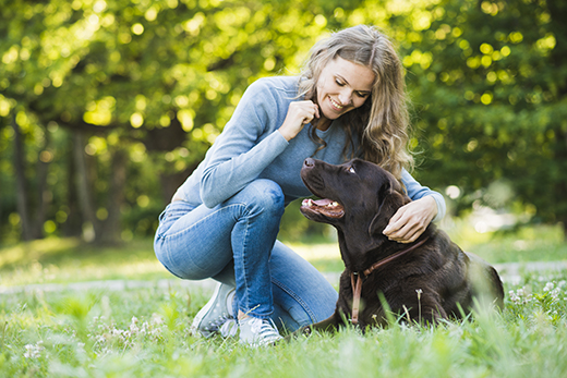 Почему собаки такие преданные человеку