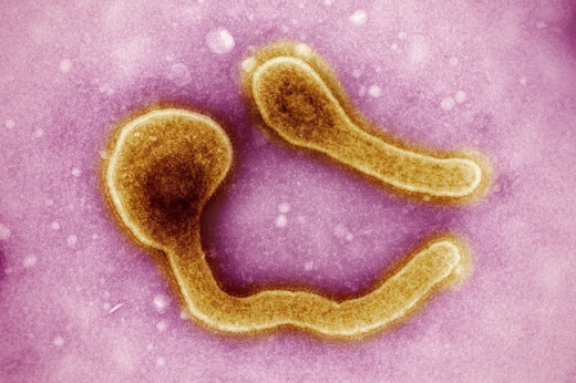 Гастроэнтерит