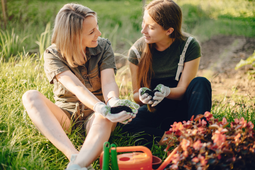 Дачная аптечка: как не превратить отдых в борьбу за выживание