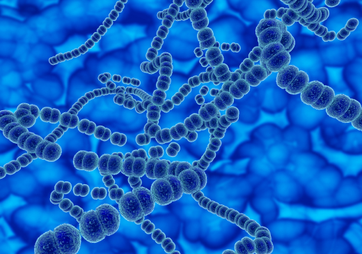 Чем опасен паразит