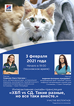 Интерактивная онлайн-трансляция: &laquo;ХБП vs СД. Такие разные, но все-таки вместе&raquo;