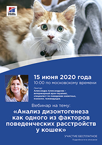 Интерактивная онлайн-трансляция по зоопсихологии на тему: &laquo;Анализ дизонтогенеза как одного из факторов поведенческих расстройств у кошек&raquo;