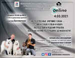 Онлайн-занятия 4 марта: «Наследственные аритмии. Смена зубов у собак и кошек»