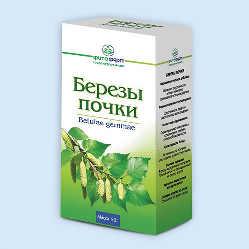 Как выглядят березовые почки