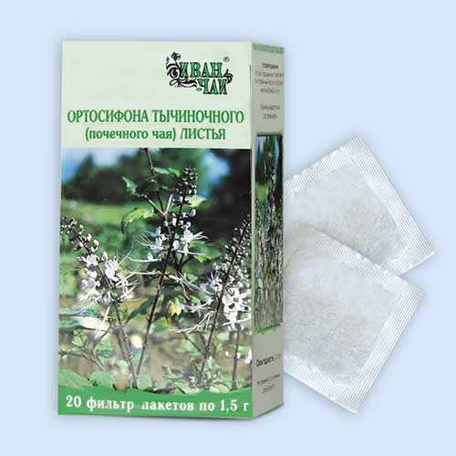 Ортосифона тычиночного (почечного чая) листья инструкция по применению
