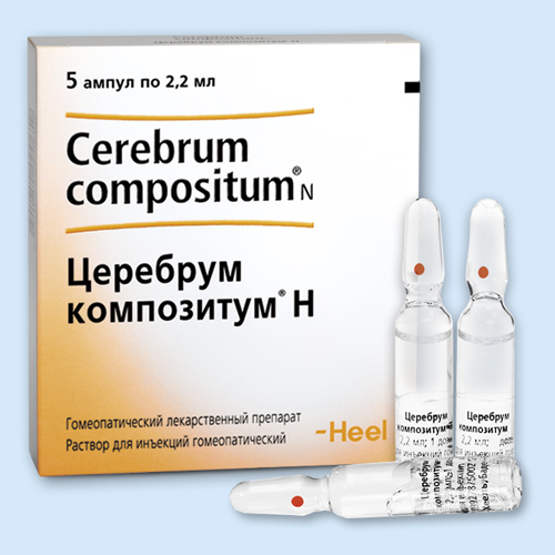 Церебрум композитум н инструкция по применению Церебрум композитум н инструкция по применению