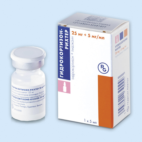 Гидрокортизон-рихтер инструкция по применению Гидрокортизон-рихтер инструкция по применению