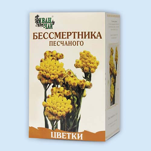 Цветы Бессмертники Фото