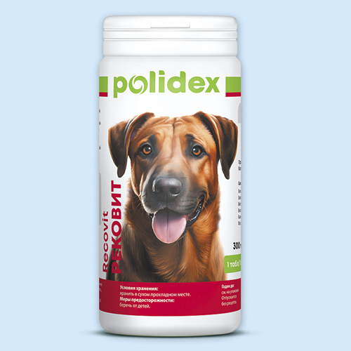 Полидэкс рековит для собак инструкция по применению
