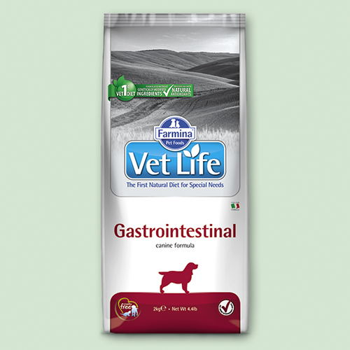 Фармина вет лайф формула для собак гастроинтестинал инструкция по применению Фармина вет лайф формула для собак гастроинтестинал инструкция по применению