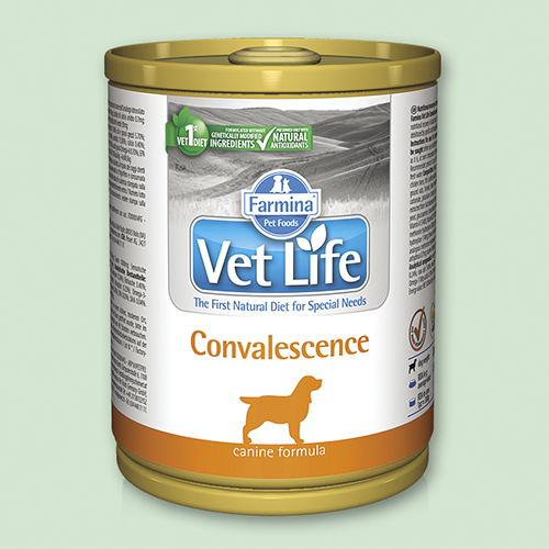 Фармина вет лайф вет фуд формула для собак конвалесценсе инструкция по применению Фармина вет лайф вет фуд формула для собак конвалесценсе инструкция по применению