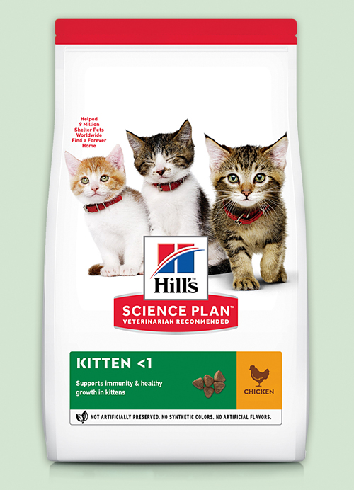 Повседневный рацион для котят, а также беременных и лактирующих кошек инструкция по применению Повседневный рацион для котят, а также беременных и лактирующих кошек инструкция по применению