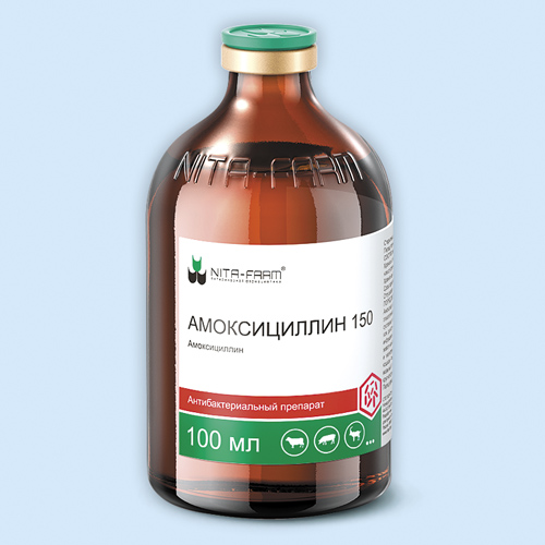 Амоксициллин 150 инструкция по применению Амоксициллин 150 инструкция по применению