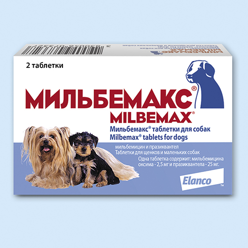 Мильбемакс для кошек, маленьких щенков и взрослых собак: инструкция и показания по применению