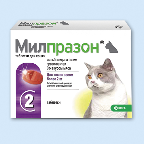 Милпразон для кошек побочные действия thumbnail