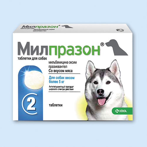 Милпразон таблетки для собак инструкция по применению